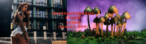 ECSTASY Алексин