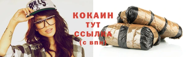 spice Алзамай