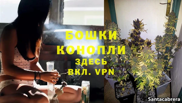 прущие крисы Покачи