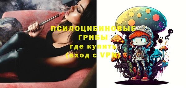 spice Алзамай