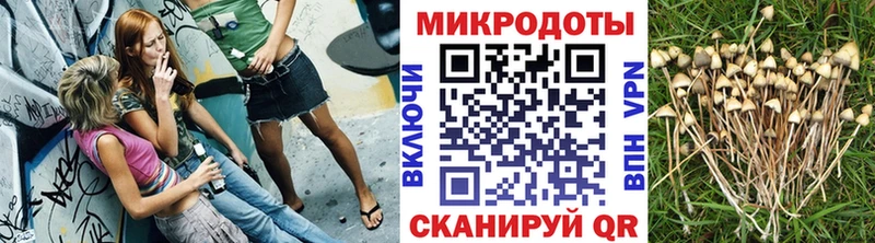 Псилоцибиновые грибы Psilocybe  цены   Николаевск 